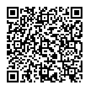 现在龙傲天见到菲利普斯还有丽斯来到龙家虽然基本上已经可以猜出是因为什么事情二维码生成