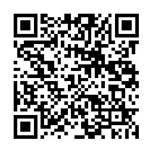 现在龙哥和王家的人帮助落石城狠狠的炒作了一次二维码生成