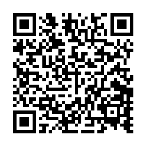 现在龙小友只有使用鸿蒙虚天塔才能够将这个缺口镇压下来二维码生成