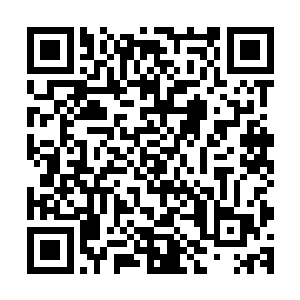 现场三百名观众和所有工作人员都把视线转向了右侧的大门上二维码生成