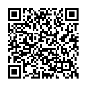 现场不知道有多少女性观众被眼前的宇天给征服二维码生成