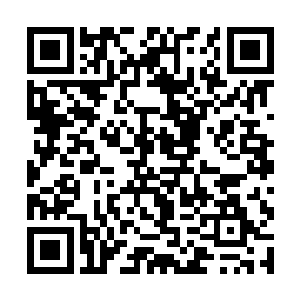 现场围观过来的粉丝听到金在珉的话之后也就愣了下二维码生成