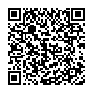 现场所有贵族　包括铁锚龙鹰两位大公　都不受控制的颤抖了一下二维码生成