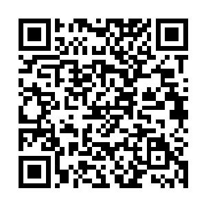 现场的大屏幕突然播放出了一段有关于解说娃娃的视频二维码生成