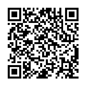 现场的观众只能是看到秦宇说话的口型还有托杰夫的动作二维码生成
