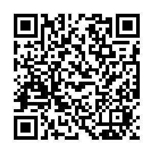 现场的观众和你的粉丝肯定都很想知道这个问题的答案二维码生成