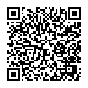 现场观众就会明白原来他这个所谓的师父却是远远比不上徒弟也就罢了二维码生成
