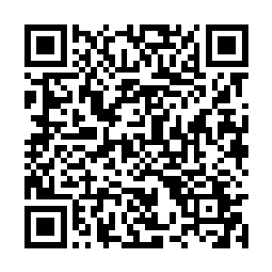 现如今依偎在就连她的可望不可攀的晋王殿下身边二维码生成