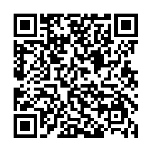 现实中杀了超过一百五十人的连环杀手之王的卢卡斯二维码生成