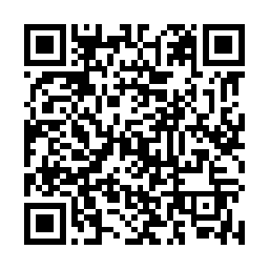 现实中的本多忠胜身高一米四出头……那别说是吕布了二维码生成