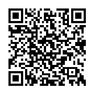 现实中的精灵和童话故事中的精灵外貌没啥区别二维码生成