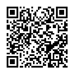 现这里的荒气比之前那些地方的荒气更加浓郁几分二维码生成