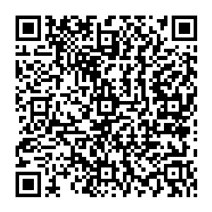 玲珑一指屏幕上显然聚集了大量丧尸的地点--也正是白小飞等人吸引侦察机注意力的所在--二维码生成