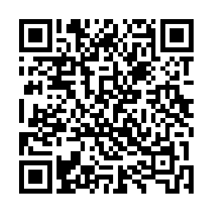 玲珑宗包括他至今都不知道玲珑宝塔究竟是被怎么破掉的二维码生成