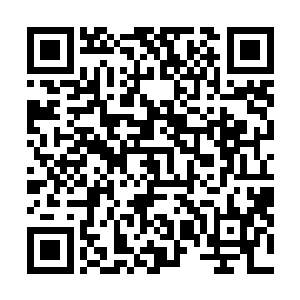 玲珑很是不客气的坐在天道的身上笑呵呵的吃着那些东西二维码生成