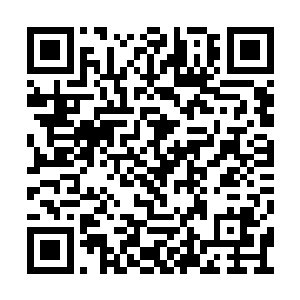 玲珑有致的曲线再一次出现在了孙子轩的目光中二维码生成