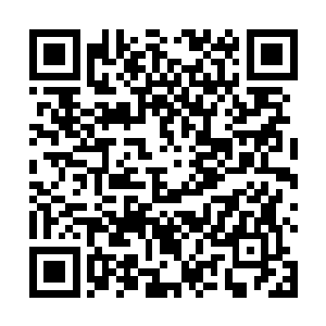 玲珑珍珠塔和帝境神兵炎黄殿……就算真有危险想杀他二维码生成
