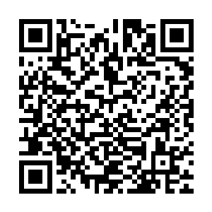 玲珑的蚂蚁尸兄之体起了变化--只见玲珑的身上浮起了一层黑二维码生成