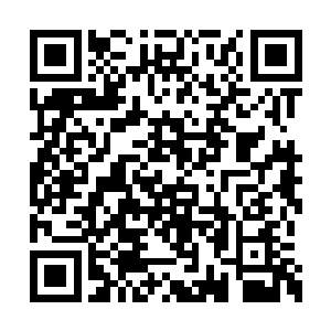 玻璃制的阳炎法球哪里经得起它们的爪子这么挠二维码生成