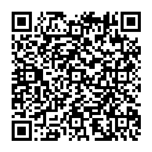 玻璃缸的底部布满了细长的圆柱形管道管道倾斜往下在最下方有一个木塞将管道堵住二维码生成