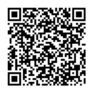 珈蓝宇宙在全盛时期的周天宇宙面前不过是一个随时可以捏死的蚂蚁而已二维码生成