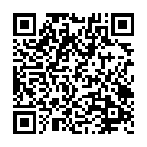 珊瑚在人牙子手里头假如不做努力而是随波逐流二维码生成