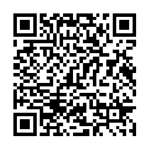 珍妮不能不承认玛姬的说法确实击中了她的某个点二维码生成