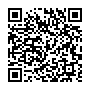 珍妮之所以猜测切萨雷和母亲关系一般也是有原因的二维码生成