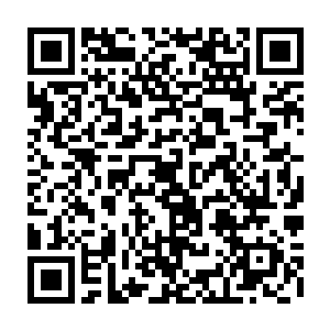 珍妮在这一点上倒是站在克里斯和吉赛尔这边――虽然李奥纳多情史丰富二维码生成