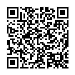 珍妮在07年的档期立刻就被压缩得非常紧迫――现在是3月中旬了二维码生成