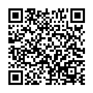 珍妮就意识到了自己的失态――这是一个过分私人的问题二维码生成