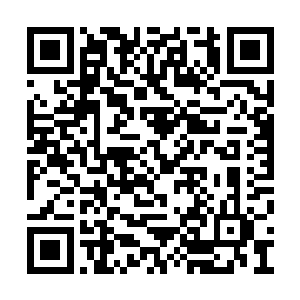 珍妮弗――琼恩忽然意识到不该再叫她珍妮弗了二维码生成