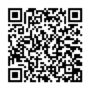 珍妮弗和福克斯联系的次数和频率都有大幅度的减少二维码生成