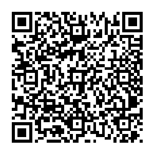 珍妮弗报的这个部门的确没什么悬念――今晚的故事还是集中在最佳影片和最佳导演上二维码生成
