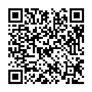 珍妮弗的表情――当她从绝对的茫然和震撼后回神二维码生成