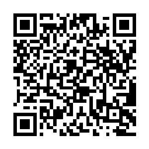 珍妮弗给我们带来的是一种务实的上东区女孩的时尚二维码生成