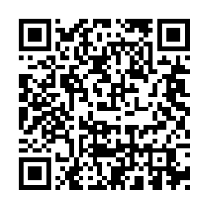 珍妮才明白拍摄王家卫电影的演员们心里的苦涩二维码生成