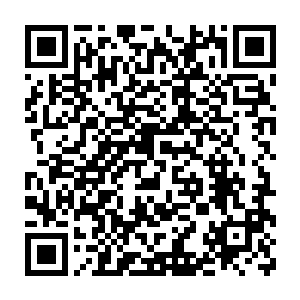 珍妮现在和切萨雷商量的就是该如何让戈尔相信自己是个牙尖嘴利二维码生成