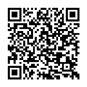 珍妮的小梦工作室在不久后就会进账一千多万元二维码生成