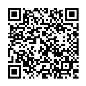 珍妮相信自己肯定会一笑而过――她和乔什在假恋爱那段时间里二维码生成