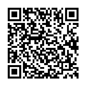 珍妮经常说她和乔什是史上最没攻击性的情侣档二维码生成
