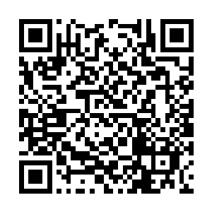 珍妮自己也不知道特雷西怎么摸清她的食谱习惯的二维码生成