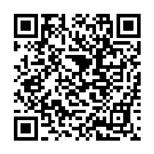 珍妮还是不得不迅速地采用了这个战略来开解罗伯特二维码生成