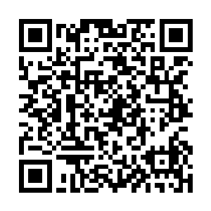 珍妮12月的颁奖月可能还能给安迪刷点提名和奖项二维码生成