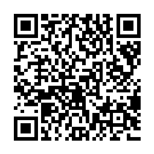 珍宁公主小心翼翼的从衣袖中取出一方包裹着东西的丝绢打开二维码生成