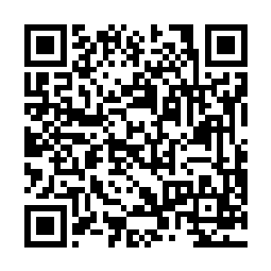 珍宝轩每年都会组织人到洞天福地秘境中采摘各种药材二维码生成