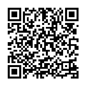 珍珠塔的十二位上位大学者们重新商议了进入学城的规矩二维码生成