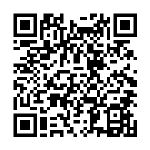班德尔也是干出了这么丧心病狂的事情才获得了足够的二维码生成