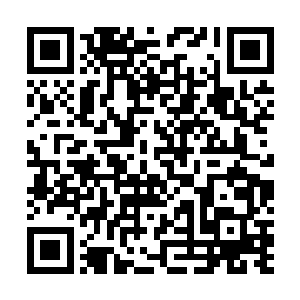 班德尔应该很难伤害到她……但是棺材里的那个东西……二维码生成