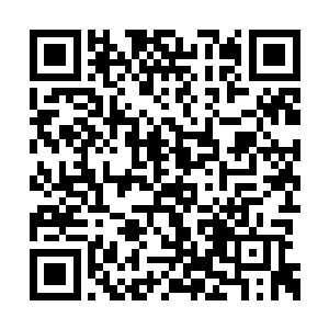 球员们在球场上的表现也更好了……这场比赛中二维码生成